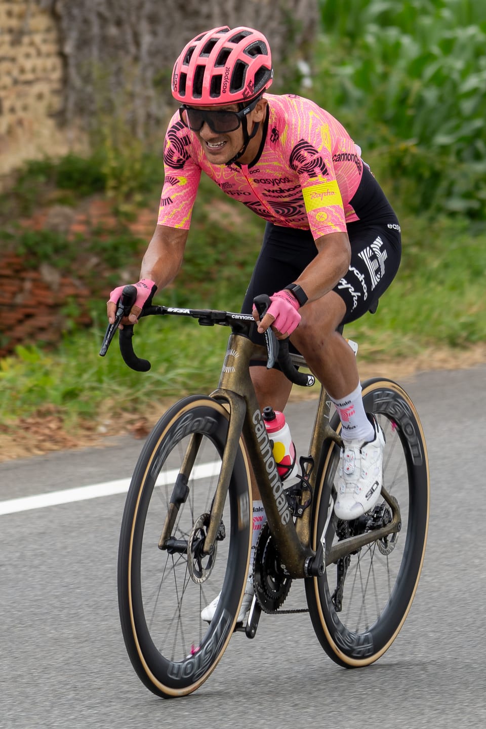Richard Carapaz in a pink EF Education-EasyPost jersey and helmet riding out of the saddle up a country road