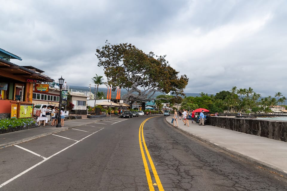 A seafront street in Kailua-Kona lined with shops and a large banyan tree under a cloudy sky