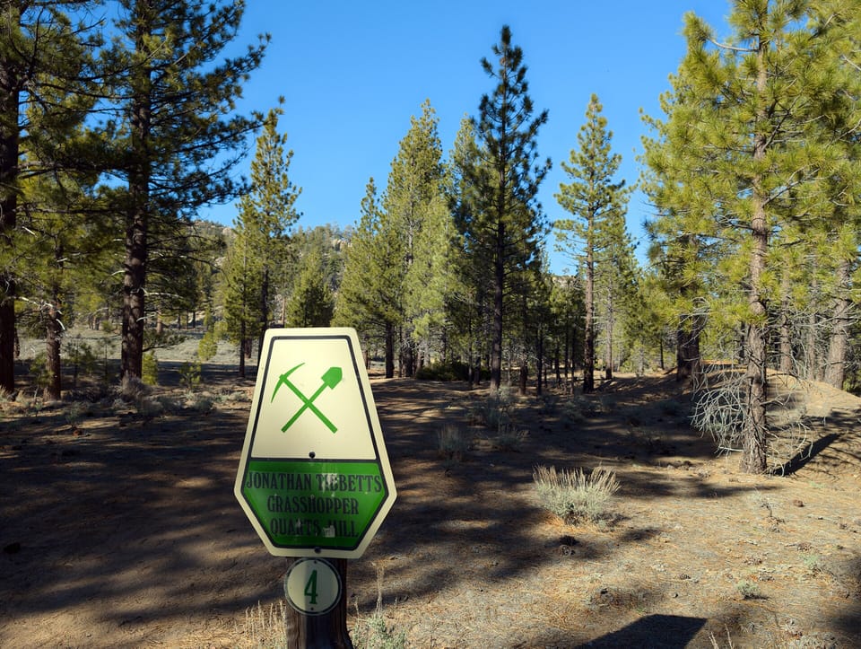A trail marker post beside a dirt track through pine forest under a blue sky